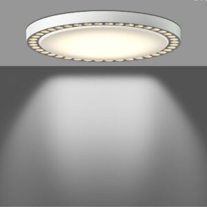 Reflected Light Ceiling Light (Composite Ring)