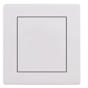A38-P01 Sing Blank Plate