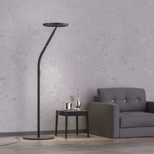 Reflected Light Ring Floor Light